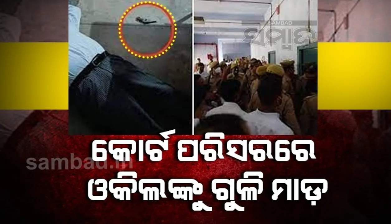  ଦିଲ୍ଲୀ ପ‌ରେ ଏବେ ଉତ୍ତରପ୍ରଦେଶ; କୋର୍ଟ ପରିସରରେ ଓକିଲଙ୍କୁ ଗୁଳି ମାଡ଼, ସୁରକ୍ଷା ବ୍ୟବସ୍ଥା ଉପରେ ପ୍ରଶ୍ନ ଉଠାଇଲେ ଓକିଲ ସଂଘ