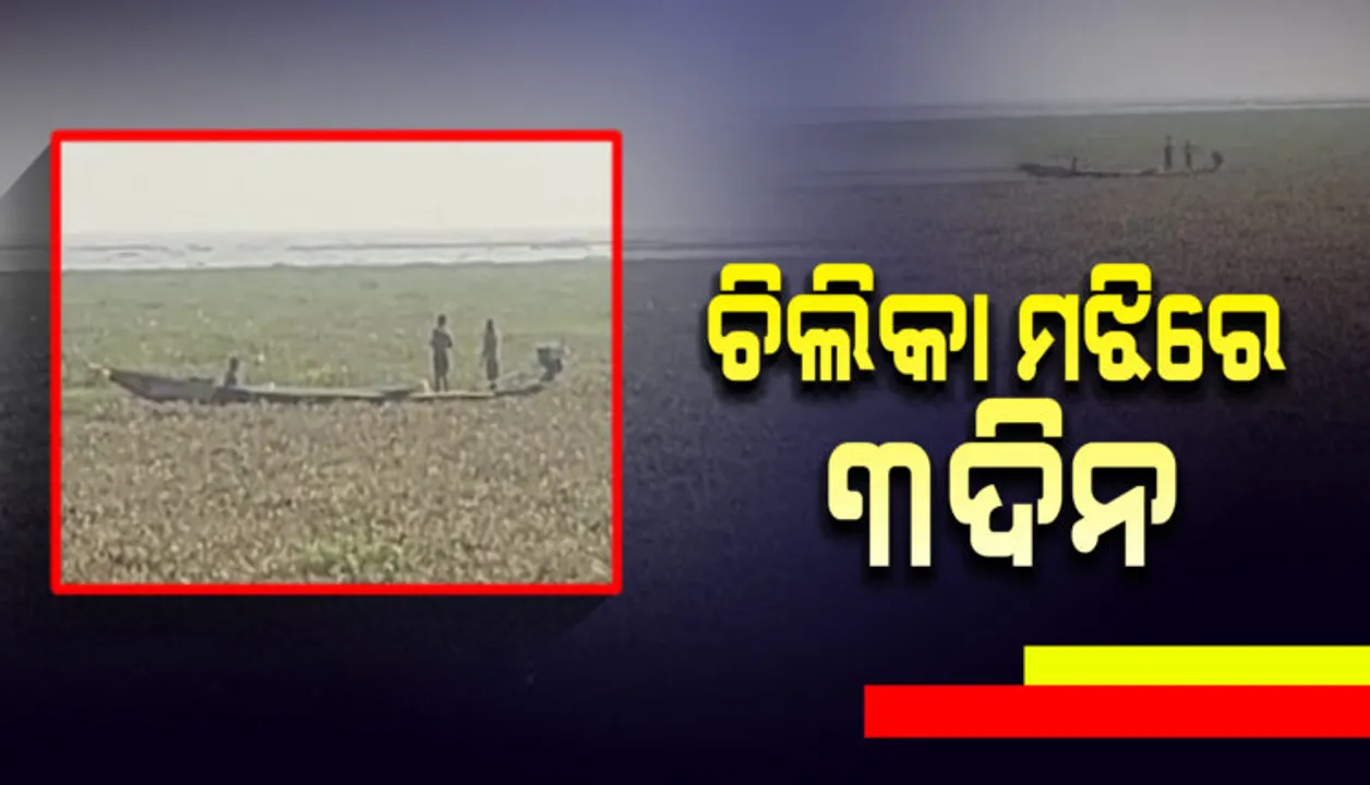  ୩ଦିନ ହେଲାଣି ମଝି ଚିଲିକାରେ ଫସି ରହିଛି ଡଙ୍ଗା, ଉଦ୍ଧାର ପାଇଁ ମାଲୁଦ ଅଗ୍ନିଶମ ବିଭାଗ ଆରମ୍ଭ କଲା ଉଦ୍ୟମ