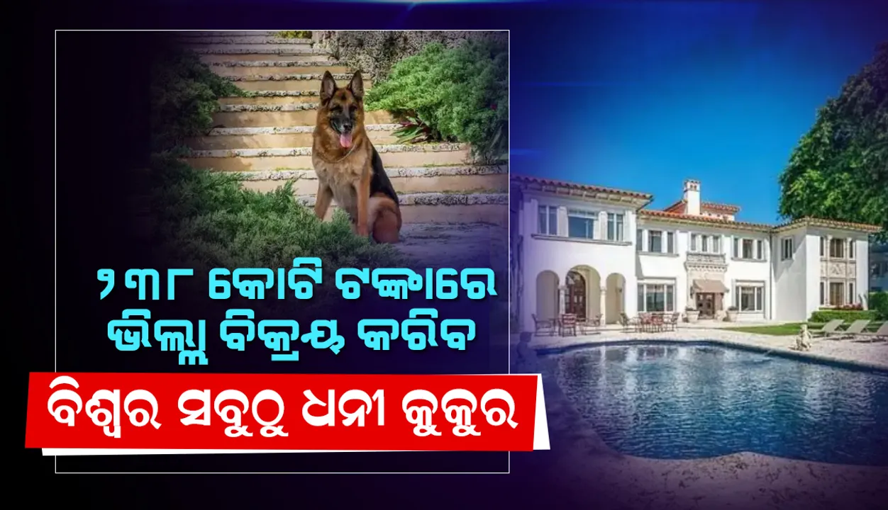  ୨୩୮ କୋଟି ଟଙ୍କାରେ ଭିଲ୍ଲା ବିକ୍ରୟ କରିବ ବିଶ୍ବର ସବୁଠୁ ଧନୀ କୁକୁର