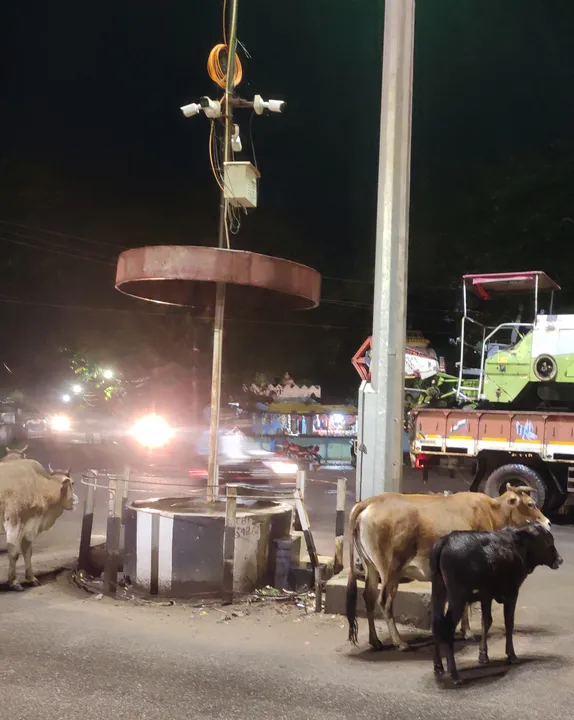  ଟ୍ରାଫିକ୍ ପୋଷ୍ଟ ରହିଛି, ନାହାନ୍ତି ପୁଲିସ: କେମିତି ‌ହେବ ଜୟପୁର ଟ୍ରାଫିକ ନିୟନ୍ତ୍ରଣ?