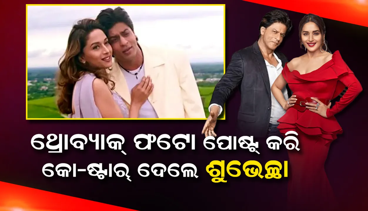  ଶାହାରୁଖଙ୍କ ଜନ୍ମଦିନରେ ମାଧୁରୀଙ୍କଠାରୁ ଆରମ୍ଭ କରି କଟ୍ରିନାଙ୍କ ଯାଏ ସମସ୍ତେ କଲେ ଏଭଳି ପୋଷ୍ଟ