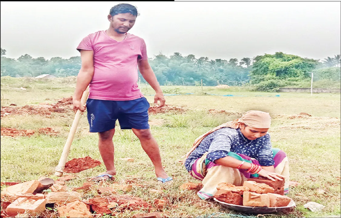  ମୂଲ ଲାଗୁଛନ୍ତି ଜାତୀୟ ଫୁଟ୍‌ବଲର୍‌ ସୁଜାତା