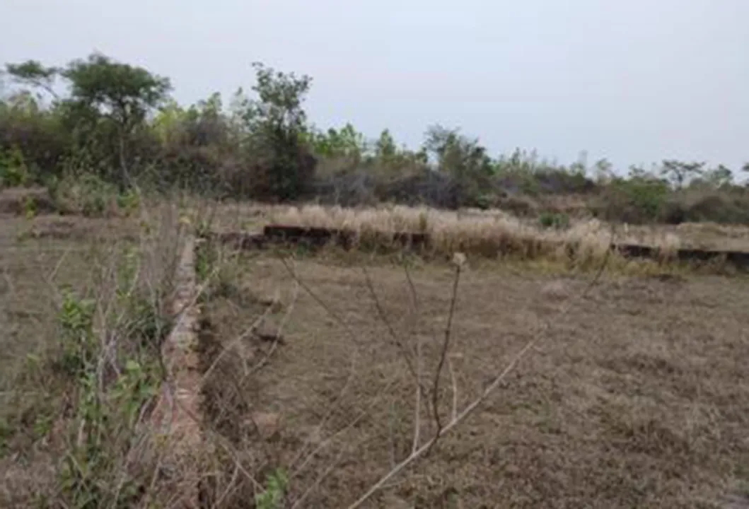  99acres.com 