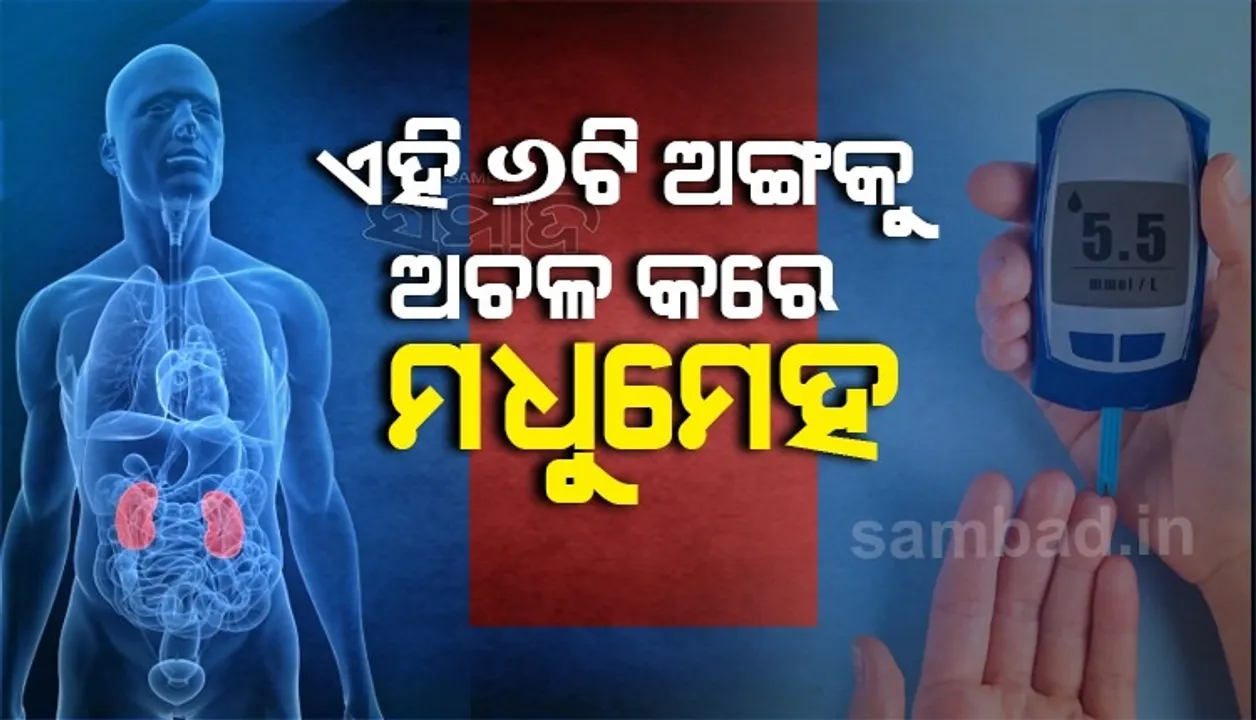  ଦୃଷ୍ଟିହୀନତା-କିଡନୀ ନଷ୍ଟ ସହ ଏହି ୬ଟି ଅଙ୍ଗକୁ ଅଚଳ କରିଦିଏ ଡାଇବେଟିସ୍‌