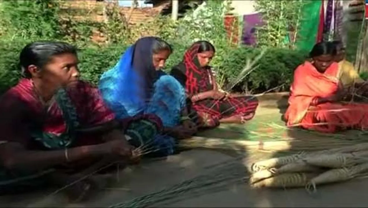  ଆଦିବାସୀ ମହିଳାଙ୍କୁ ଝାଡ଼ୁ ଦେଇଛି ରୋଜଗାର