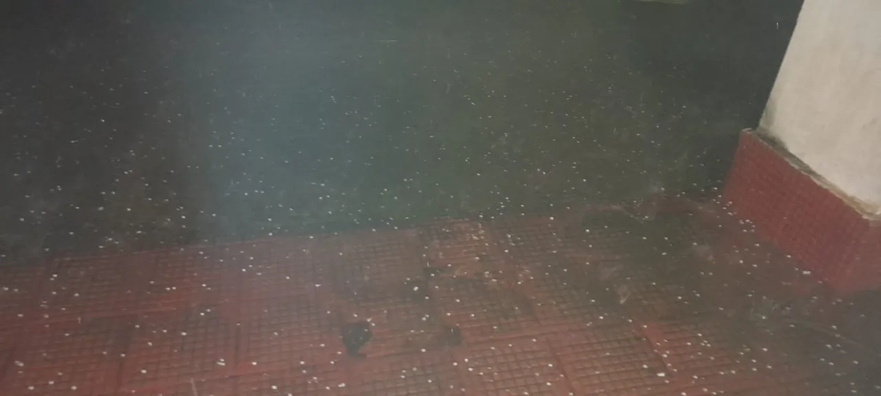  ଅଦିଆ ବର୍ଷା ଓ କୁଆପଥର ମାଡ଼; ଚାଷୀ ପ୍ରଭାବିତ, ବିଦ୍ୟୁତ୍‌ ସେବା ବ୍ୟାଘାତ। (ଫଟୋ: ଯୁଗଳ, ବୀରମହାରାଜପୁର)