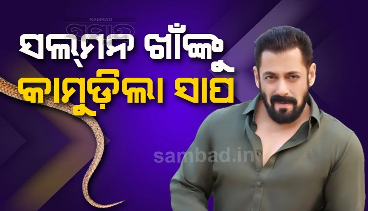  ଫାର୍ମହାଉସ୍‌ ବଗିଚାରେ ସାଙ୍ଗଙ୍କ ସହ ଚାଟିଙ୍ଗ୍ କରିବା ବେଳେ ସଲ୍‌ମନ୍‌ ଖାଁଙ୍କୁ କାମୁଡ଼ିଲା ସାପ