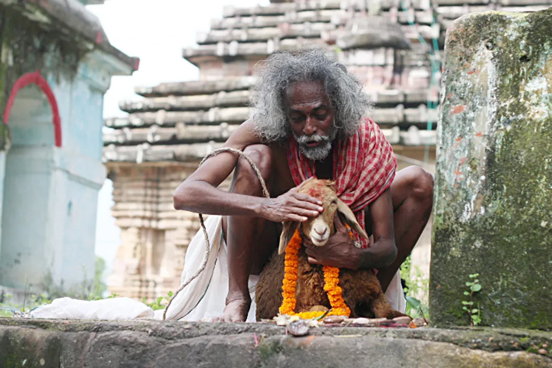  ‘କ୍ଷଣିକା ଦି ଲଷ୍ଟ୍‍ ଆଇଡିଆ’ ଫିଲ୍ମକୁ କାହିଁକି ଓଟିଟିରୁ ହଟାଇଦିଆଯାଇଥିଲା, ପ୍ରଶ୍ନ ଉଠାଇଲେ କୋରାପୁଟ ସାଂସଦ