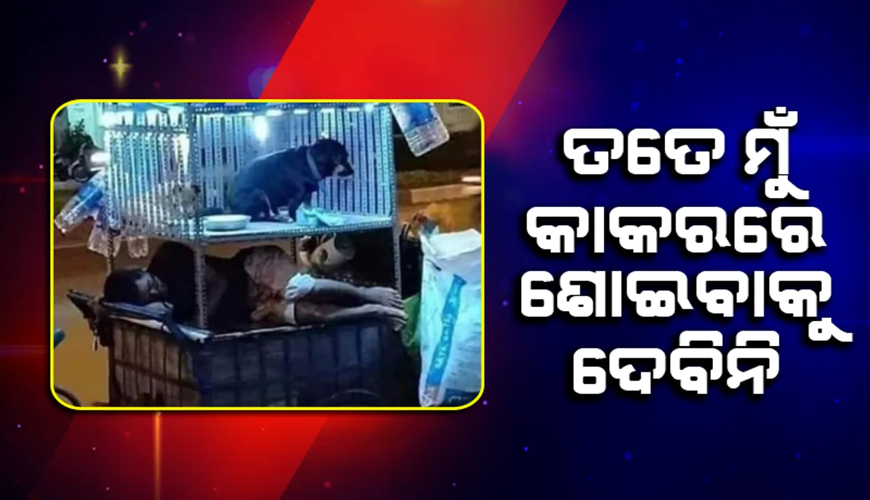  ନିଜ ମୁଣ୍ଡ ଉପରେ ଛାତ ନଥିବା ବ୍ୟକ୍ତି କୁକୁର ପାଇଁ ତିଆରି କଲେ ସୁସଜ୍ଜିତ ଘର, ଲୋକଙ୍କ ମନ କିଣିଲା ଫଟୋ