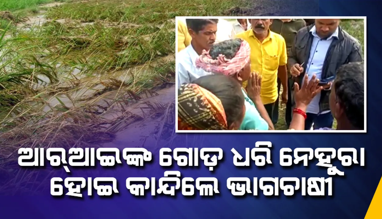  ରାଜସ୍ବ ନିରୀକ୍ଷକଙ୍କ ଗୋଡ଼ ଧରି ନେହୁରା ହୋଇ କାନ୍ଦିଲେ ବାତ୍ୟାରେ ପ୍ରଭାବିତ ଭାଗଚାଷୀ