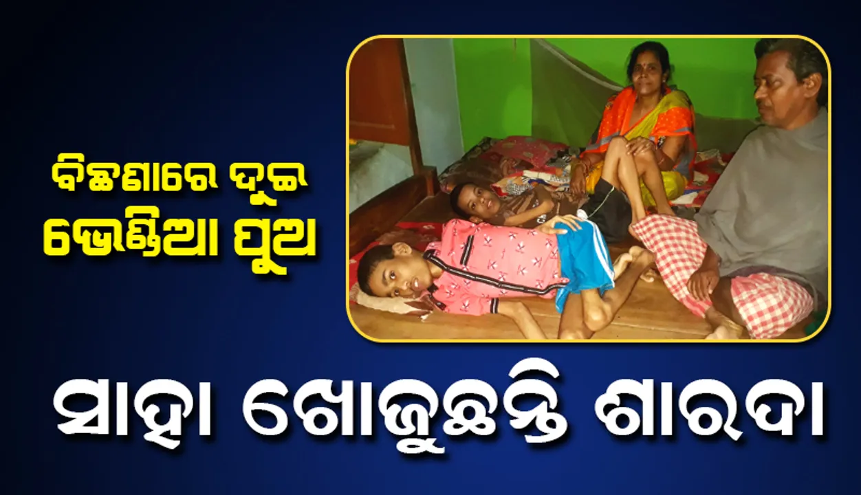  ବିଛଣାରେ ଦୁଇ ଭେଣ୍ଡିଆ ପୁଅ: ସାହା ଖୋଜୁଛନ୍ତି ଶାରଦା