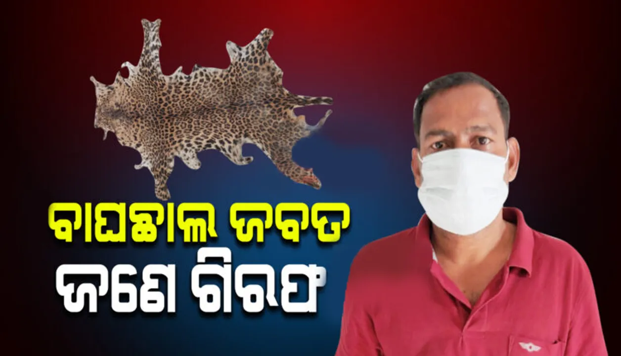  ରାସ୍ତାକଡ଼ରେ ମୂଲଚାଲ ଚାଲିଥିବା ବେଳେ ଏସଟିଏଫ ହାତରେ ଧରାପଡ଼ିଲେ ଚୋରାଚାଲାଣକାରୀ: ବାଘଛାଲ ଜବତ