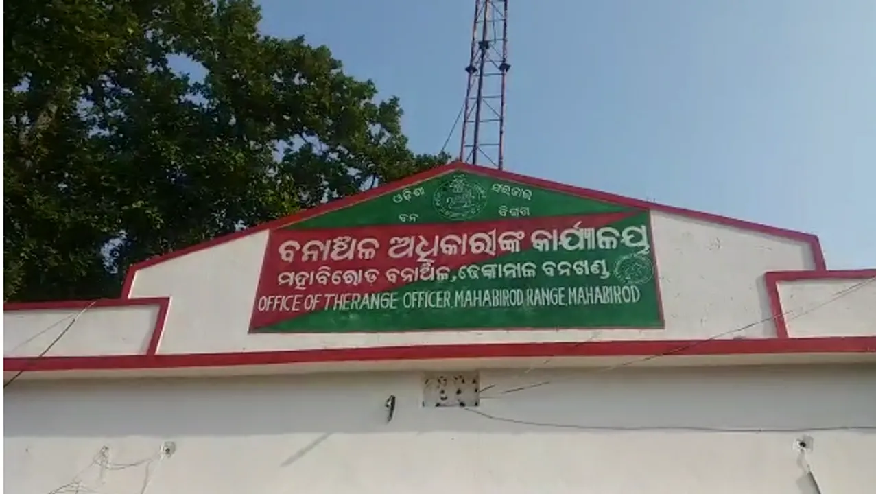  ଗାଈ ଖୋଜିବାକୁ ଯାଇ ହାତୀ ଆକ୍ରମଣର ଶିକାର ହେଲେ ଚାଷୀ
