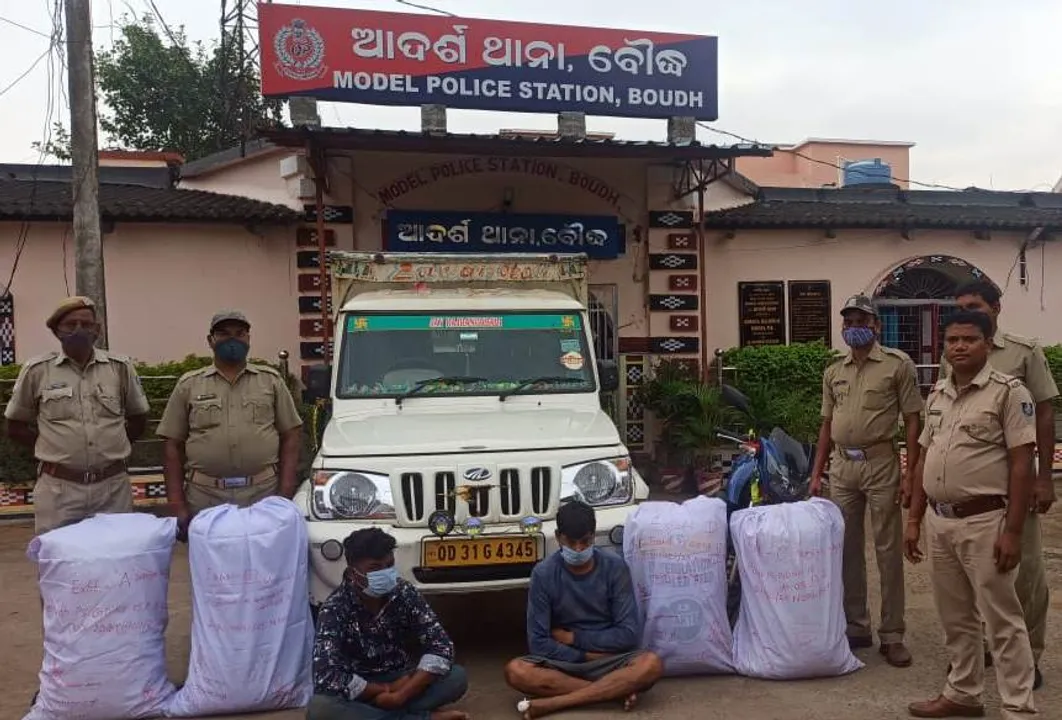 ବୌଦ୍ଧରୁ ଏକ କୁଇଣ୍ଟାଲ ଗଞ୍ଜେଇ ଜବତ, ୨ ଗିରଫ