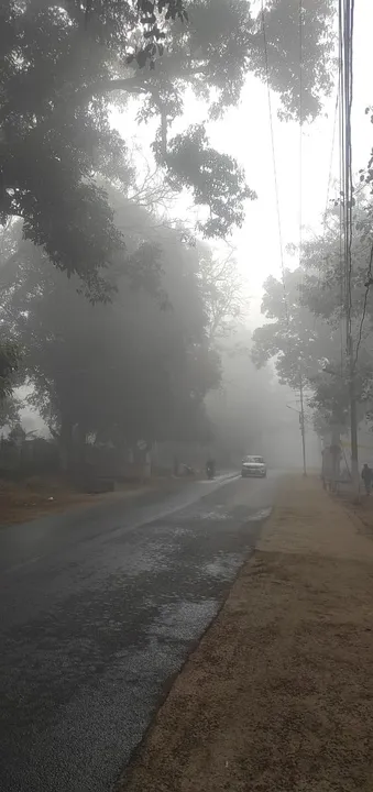  କୋରାପୁଟରେ ଘନ କୁହୁଡ଼ି