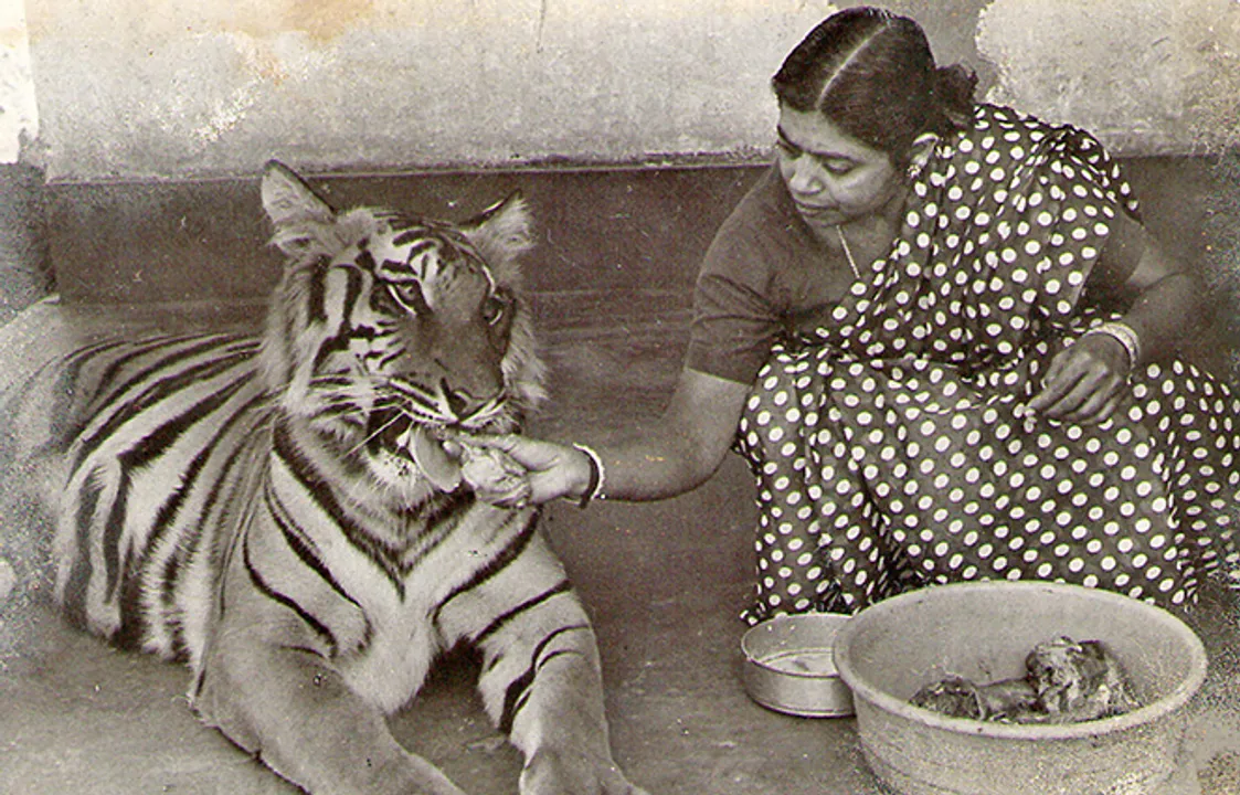  Ei Samay 