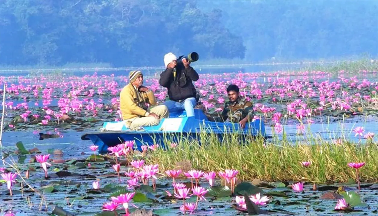  ବାଲେଶ୍ବର: ୧୬ଟି ସ୍ଥାନରେ ହେଲା ପକ୍ଷୀ ଗଣନା