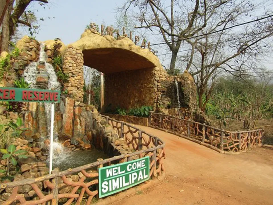  ଆସନ୍ତା ୩ରେ ଖୋଲିବ ଶିମିଳିପାଳ