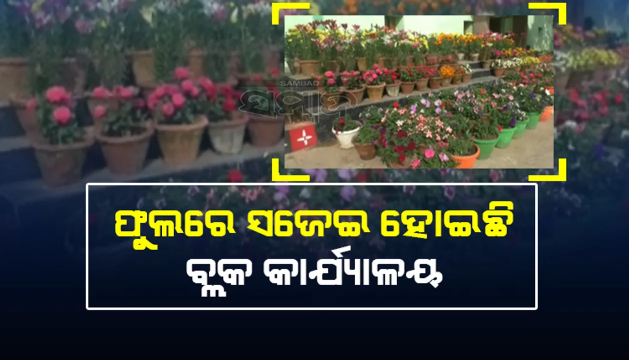  ନିଆରା ପ୍ରୟାସ: ୩୦୦ ପ୍ରଜାତିର ଫୁଲ ଗଛରେ ସଜେଇ ହୋଇଛି ବ୍ଲକ କାର୍ଯ୍ୟାଳୟ ପରିସର