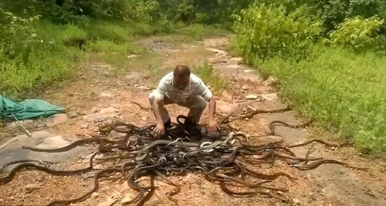  ସାଙ୍କେତିକ ଫଟୋ 