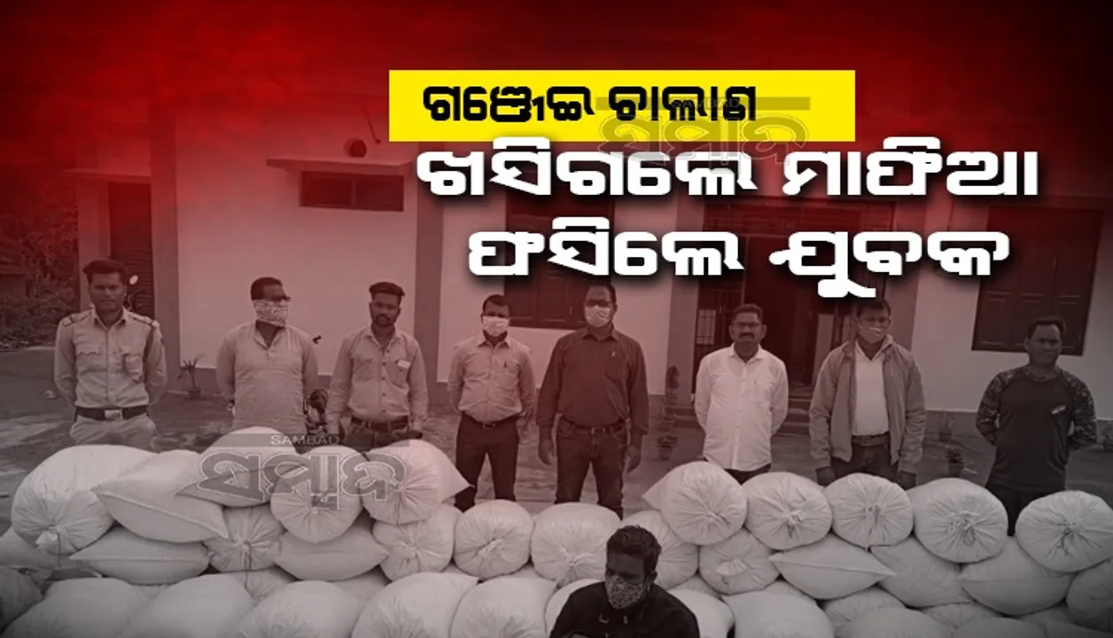  ୫୨ ଲକ୍ଷର ଚୋରା ଗଂଜେଇ ଜବତ; ଖସିଗଲେ ମାଫିଆ, ଫସିଗଲେ ସ୍ଥାନୀୟ ଯୁବକ