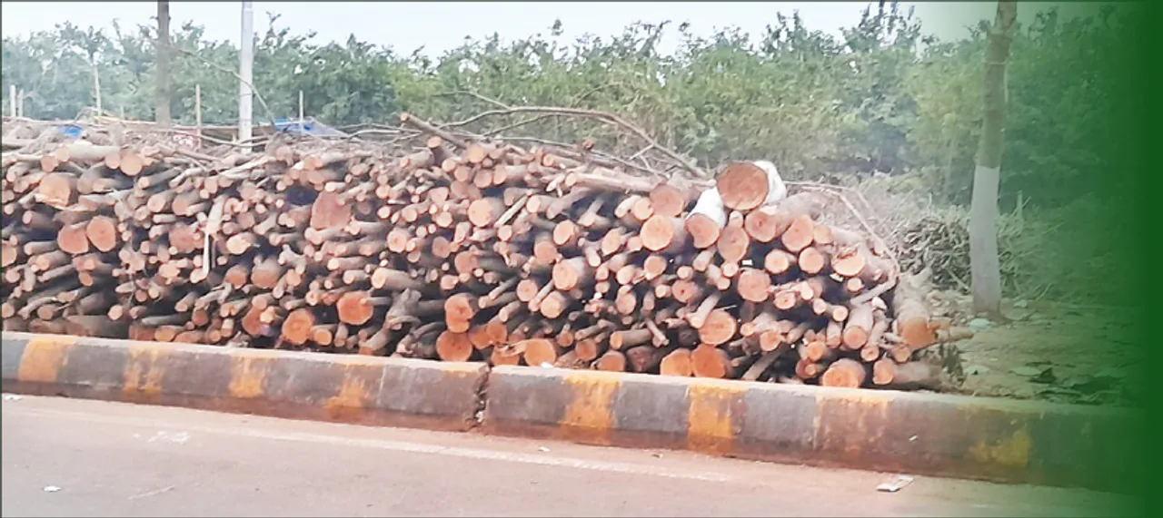  କାଟିଦେଲେ ହଜାରେ ଗଛ: ରାସ୍ତାରେ ଗାଡ଼ି ଚାଲିନି, ସମ୍ପ୍ରସାରଣ କରିବେ