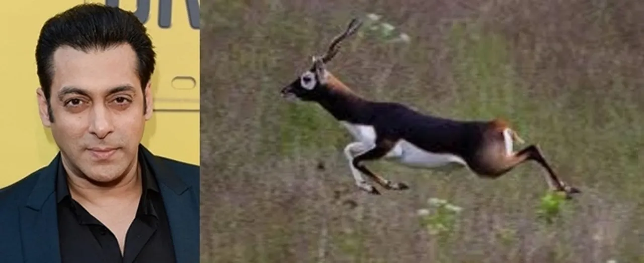  CREATOR: gd-jpeg v1.0 (using IJG JPEG v62), quality = 100 