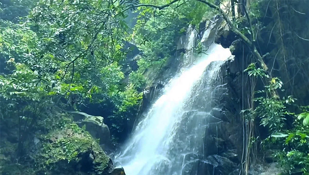 Odisha Tour 
