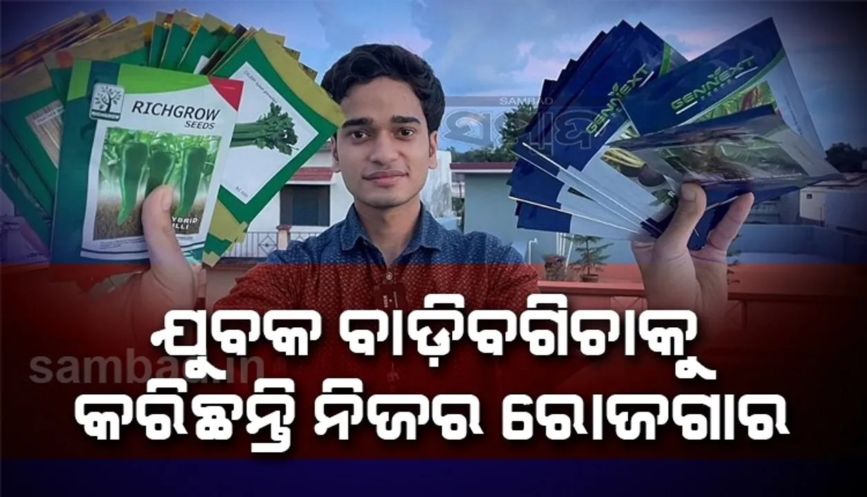  ବାଡ଼ିବଗିଚା କଥା କହି ରୋଜଗାର କରୁଛନ୍ତି ଲକ୍ଷଲକ୍ଷ ଟଙ୍କା