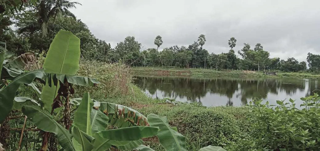  Sambad 