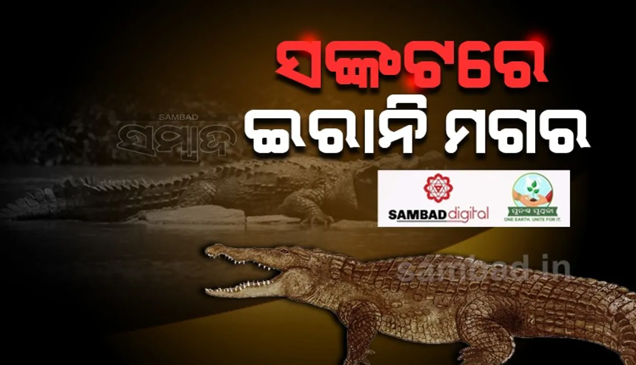  ଜଳବାୟୁ ପରିବର୍ତ୍ତନଜନିତ ସମସ୍ୟା ଯୋଗୁଁ ଇରାନ୍‌ରେ ମଣିଷଙ୍କୁ ଆକ୍ରମଣ କରୁଛନ୍ତି କୁମ୍ଭୀର