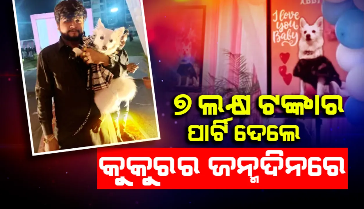  କୁକୁରର ଜନ୍ମଦିନ ଉପଲକ୍ଷେ ଅହମଦାବାଦରେ ୭ ଲକ୍ଷ ଟଙ୍କାର ପାର୍ଟି