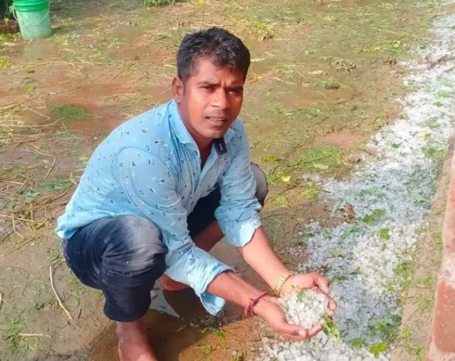  Sambad 