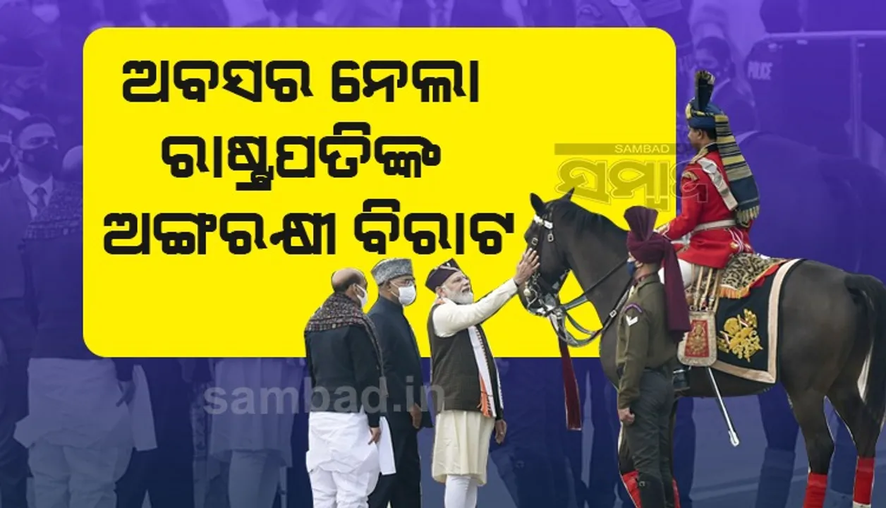  ଅବସର ନେଲା ରାଷ୍ଟ୍ରପତିଙ୍କ ଅଙ୍ଗରକ୍ଷୀ ଘୋଡ଼ା ବିରାଟ