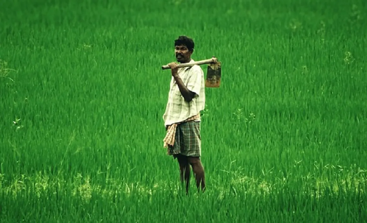  Outlook Krishi 