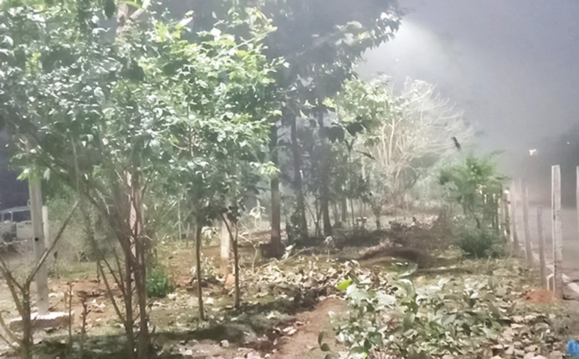  ରାସ୍ତା ସମ୍ପ୍ରସାରଣ ପାଇଁ ଗଛ ବଳି: କାଟିଦେଲେ ଆଉ ୪୦୦