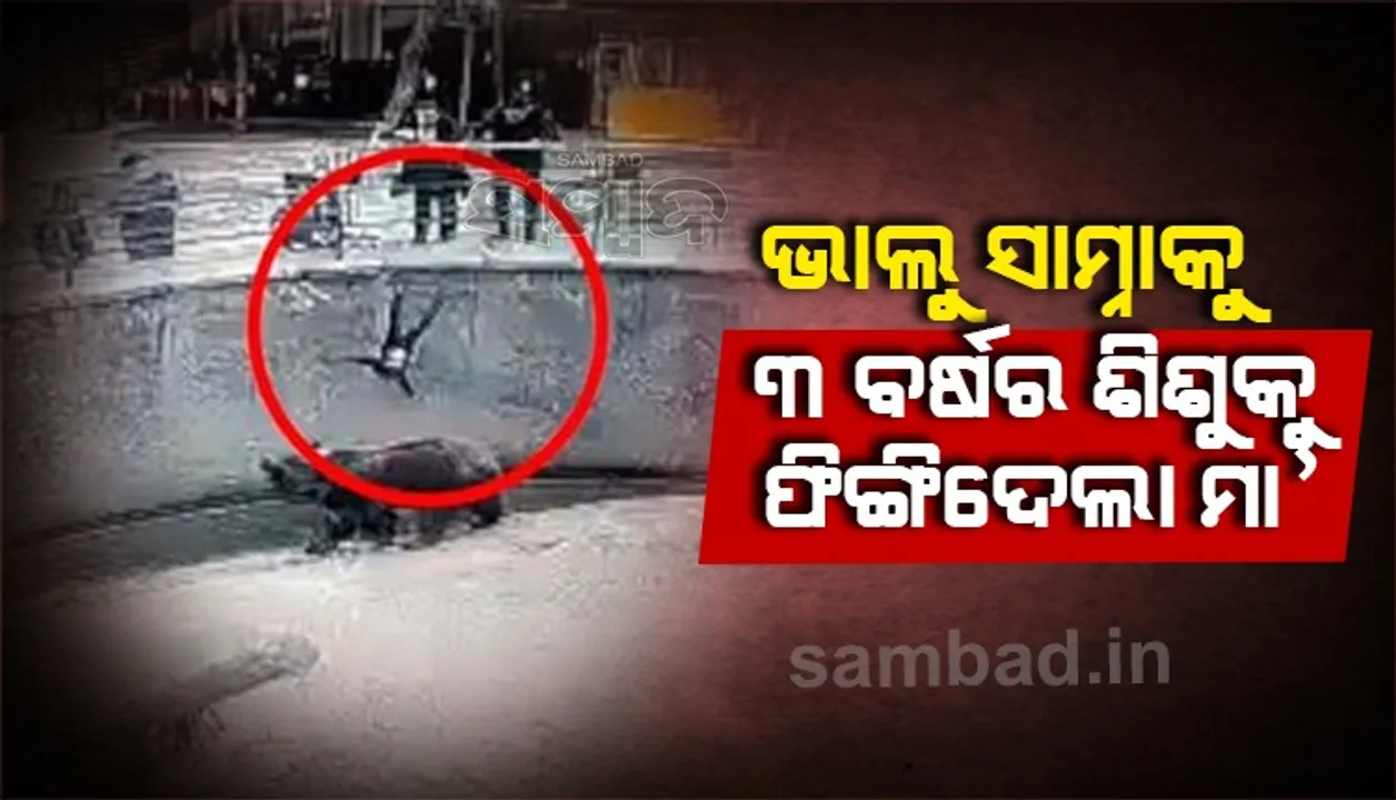  ଭାଲୁ ସାମ୍ନାକୁ ୩ବର୍ଷ ଶିଶୁକୁ ଫିଙ୍ଗିଦେଲା ମା’