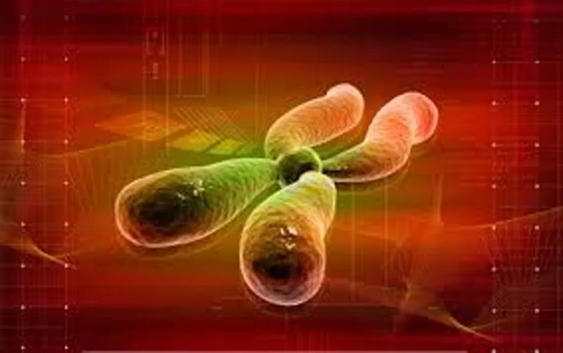  .biologyreference.com 