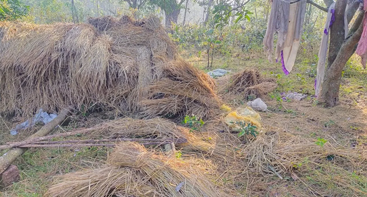  ଘର ଭାଙ୍ଗିଲା, ଫସଲ ନଷ୍ଟ କଲା ହାତୀ