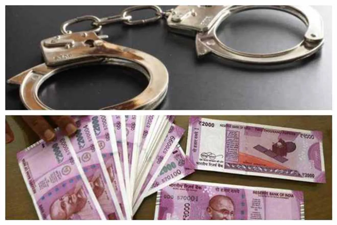  The Financial Express 