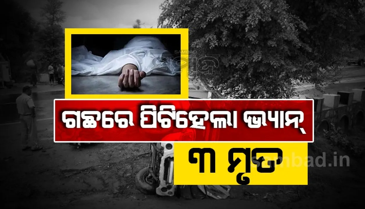  ଗଛରେ ପିଟି ହେଲା ଭ୍ୟାନ୍: ପ୍ରାଣ ହରାଇଲେ ୩ ମହିଳା, ୧୫ ଜଣ ଗୁରୁତର