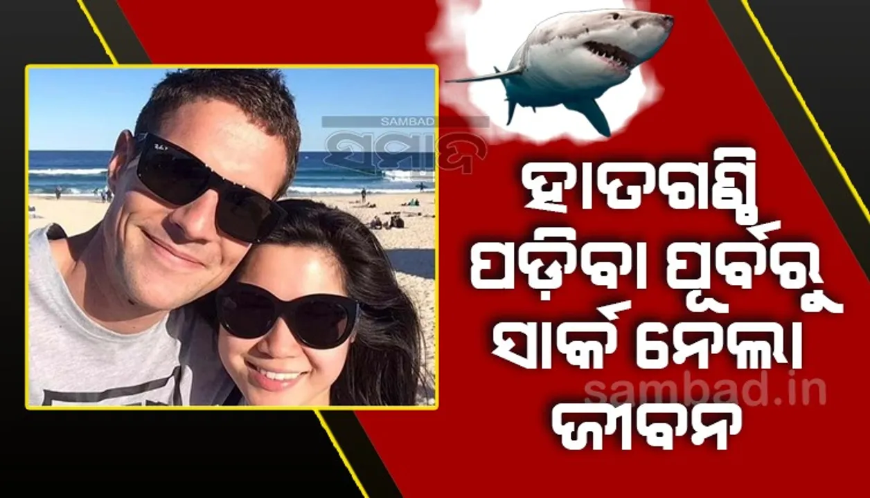  ବିବାହ ୭ଦିନ ବାକିଥିବା ବେଳେ ସାର୍କ ଆକ୍ରମଣରେ ଯୁବକଙ୍କ ମୃତ୍ୟୁ