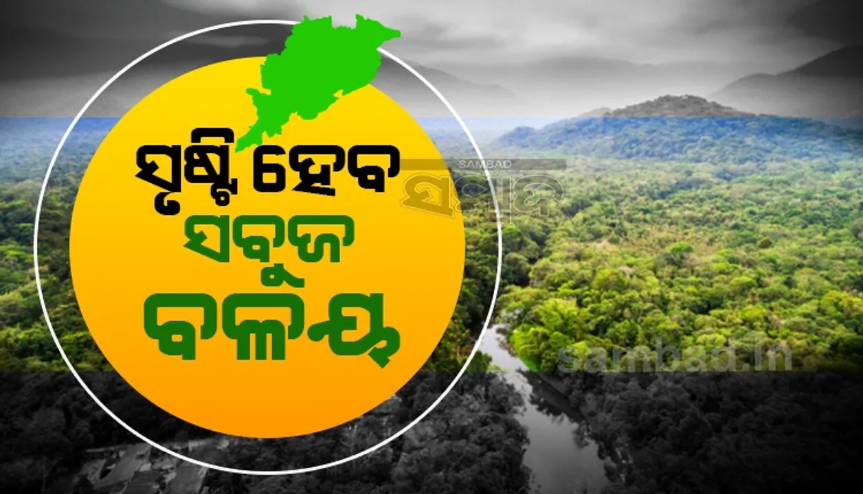  ୨୬,୫୦୦ ଏକର ରାଜସ୍ୱ ପତିତ ଜଙ୍ଗଲ ଜମିରେ ହେବ ନୂତନ ବନୀକରଣ