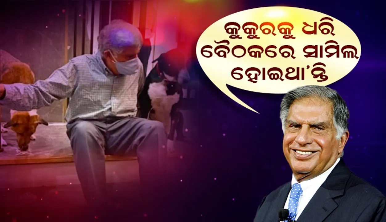  ପୂରାଦିନ ଏହି କୁକୁର ସହିତ ସମୟ କାଟିବା ସହିତ ବୈଠକକୁ ବି ନେଇ ଯାଇଥାଆନ୍ତି ରତନ ଟାଟା