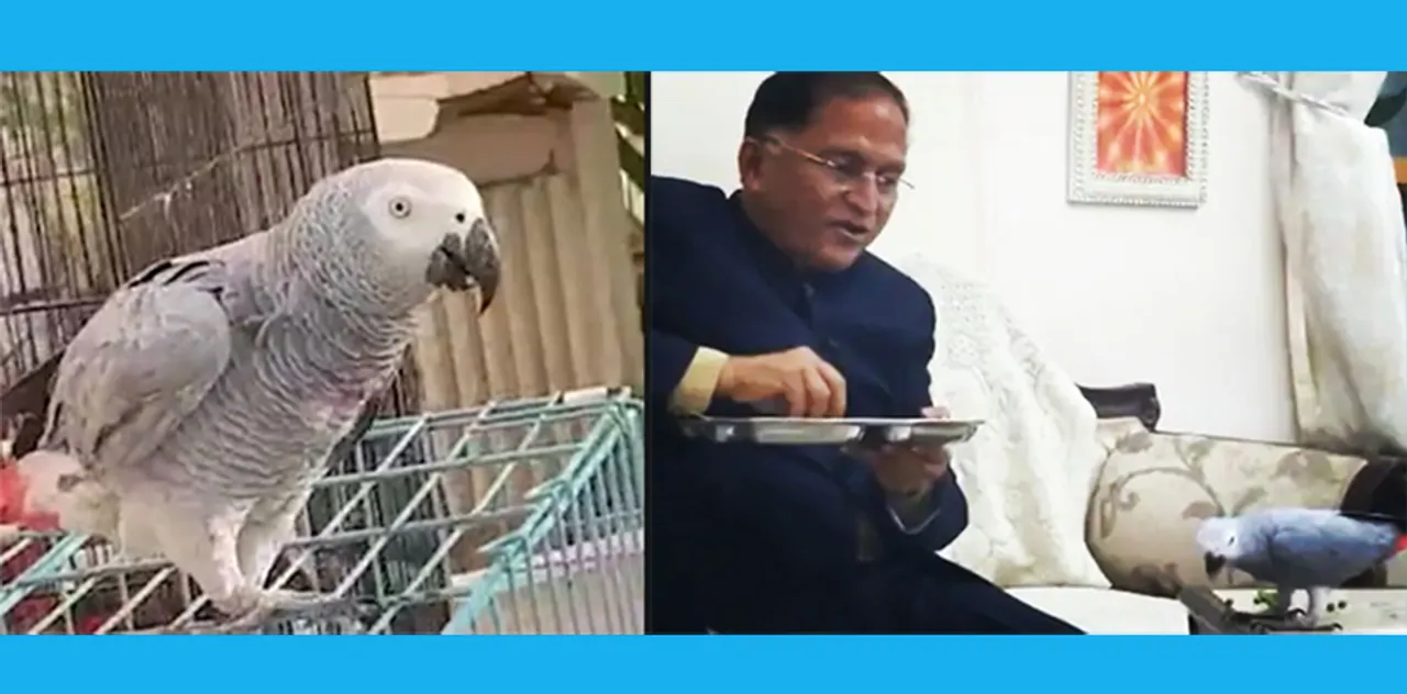  ଶୁଆ ହଜିବା ଯୋଗୁଁ ଖାଇବାପିଇବା ଛାଡ଼ିଦେଲେ ସ୍ତ୍ରୀ, ଲକ୍ଷେ ଟଙ୍କା ପୁରସ୍କାର ଘୋଷଣା କରି ବିଜ୍ଞାପନ ଦେଲେ ସ୍ବାମୀ