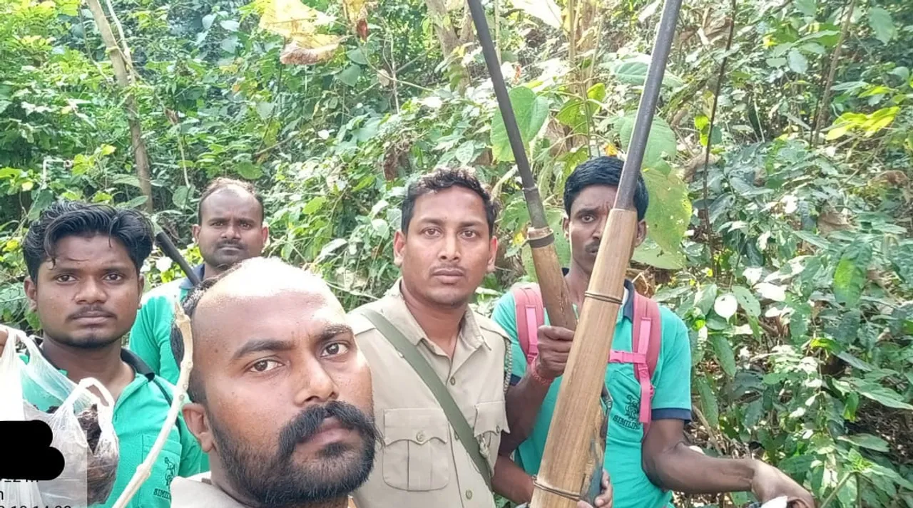  ଶିମିଳିପାଳରେ ବେଧଡ଼କ ଶିକାର: ୫୦ କେଜିରୁ ଅଧିକ କୁଟୁରା, ବାର୍‌ହା ମାଂସ ଓ ୨ ବନ୍ଧୁକ ଜବତ