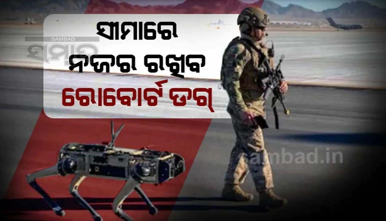  ସେନାର ଯବାନ ନୁହନ୍ତି ଏଣିକି ରୋବୋର୍ଟ ଡଗ ସୀମା ଜଗିବ