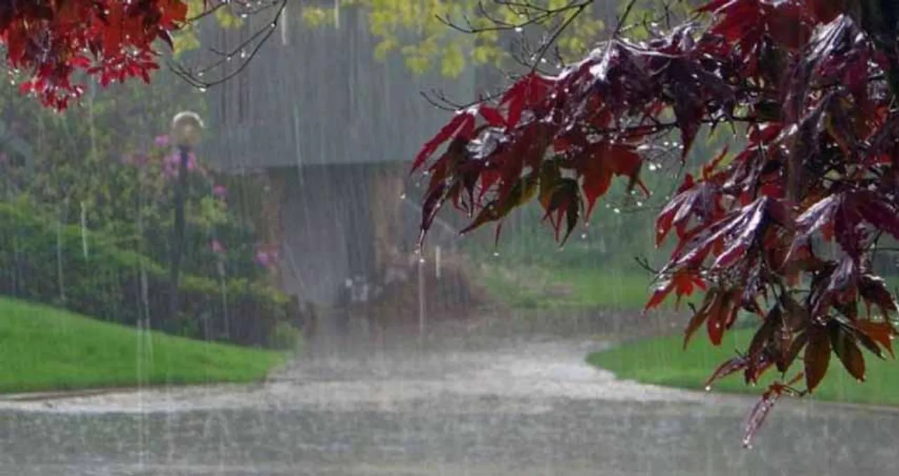  Skymet Weather 