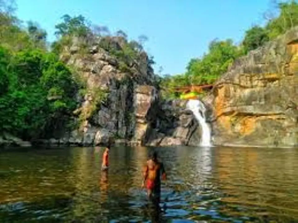  ଆଜି ଖୋଲିବ ଶିମିଳିପାଳ ଅଭୟାରଣ୍ୟ