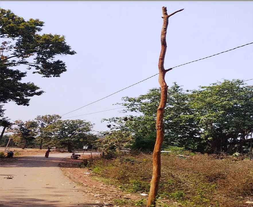  ମୁଣ୍ଡ ଉପରେ ବିପଦ: କାଠଖୁଣ୍ଟ ଭରସାରେ ବିଦ୍ୟୁତ୍‌ ତାର